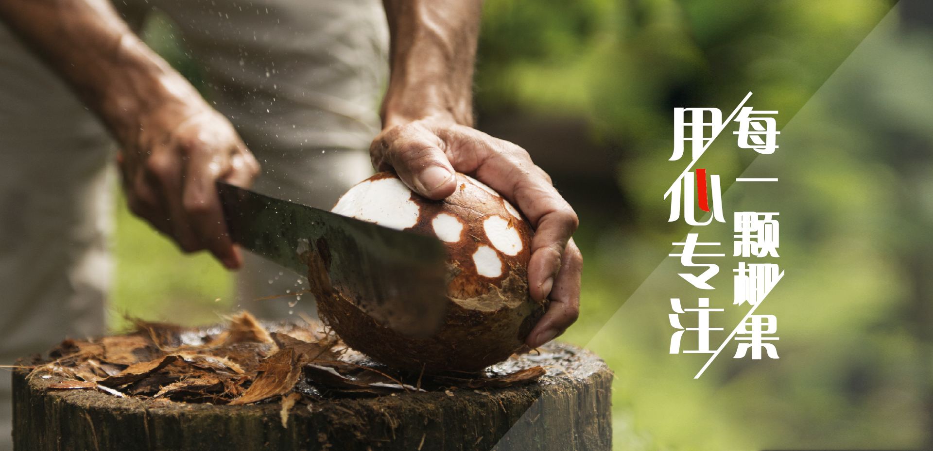 乐鱼体育网页登录
